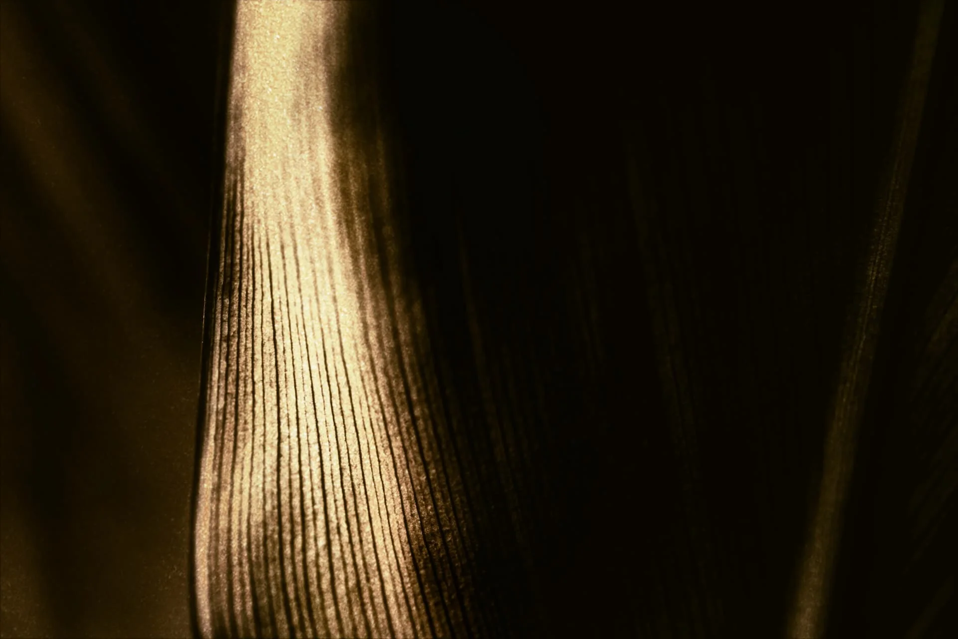 مجموعة مجوهرات ذهبية فاخرة معروضة على خلفية حريرية فاخرة